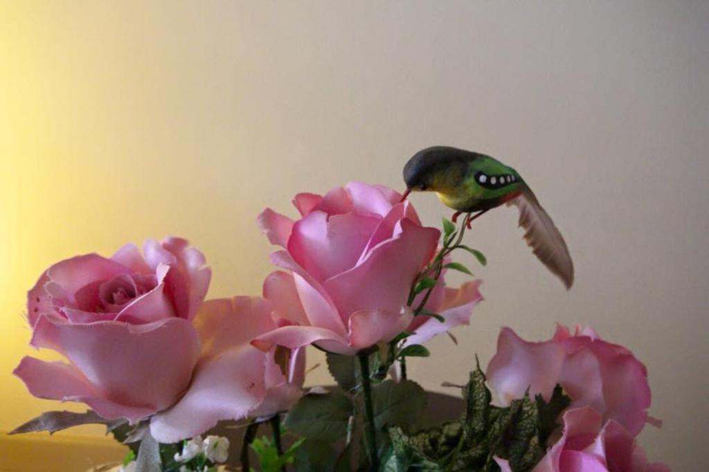 Lotus Suite Hua Hin Dış mekan fotoğraf